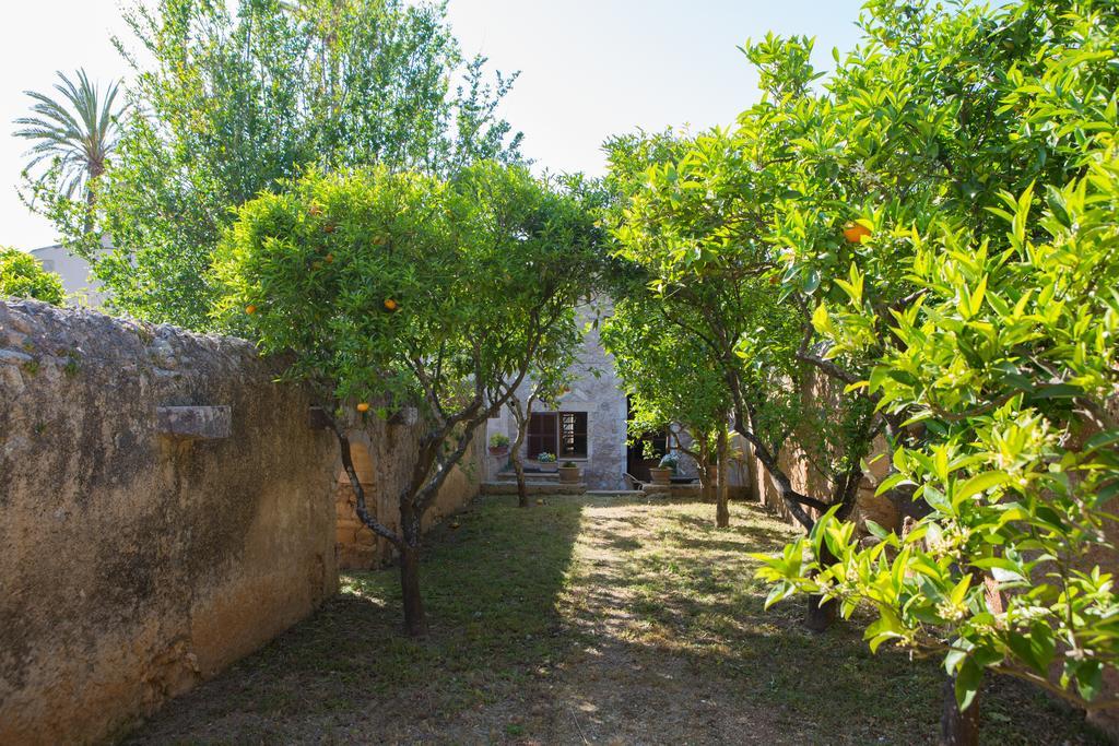 Es Pla De Llodrá Manacor (Mallorca)